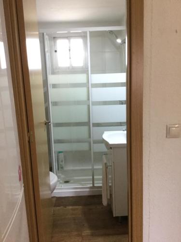 y baño con ducha, aseo y lavamanos. en Apartamentos MásBambú, en Málaga