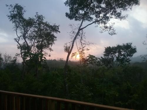 a sunset in a field with trees and a fence at Hidden Haven in Unitedville