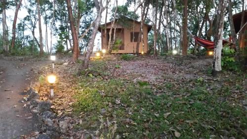 a tree house with lights in the woods at Hidden Haven in Unitedville