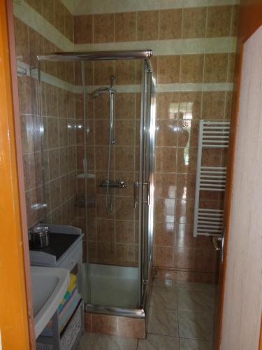 une douche avec une porte vitrée dans une salle de bain dans l'établissement Studio, à Dolus-d'Oléron