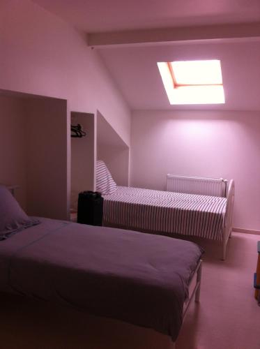 - une chambre avec 2 lits et une lucarne dans l'établissement gite du montagnard, à Oxelaere