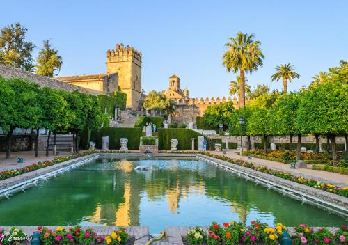 *New* Cerca de la Mezquita