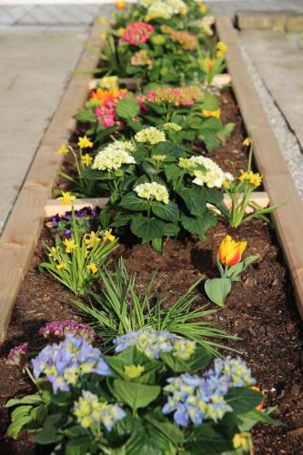 a row of colorful flowers in a garden at The Little Guesthouse in Salzburg