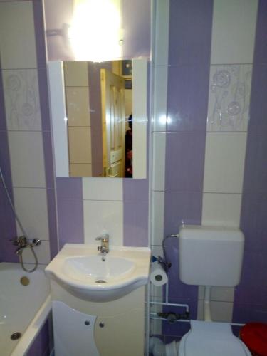 古拉哈莫盧洛伊的住宿－FraMiSo，一间带水槽、卫生间和镜子的浴室