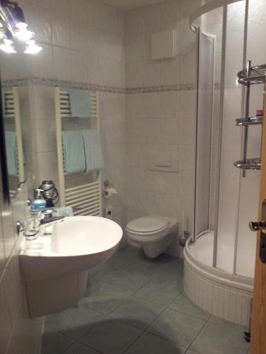 a bathroom with a sink and a toilet and a shower at Gasthaus-Pension Herberger in Kurort Oberwiesenthal
