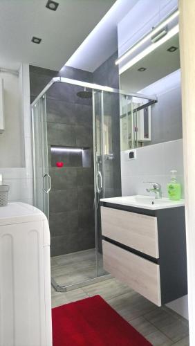 W łazience znajduje się prysznic i umywalka. w obiekcie Morze i Las w Dziwnówku