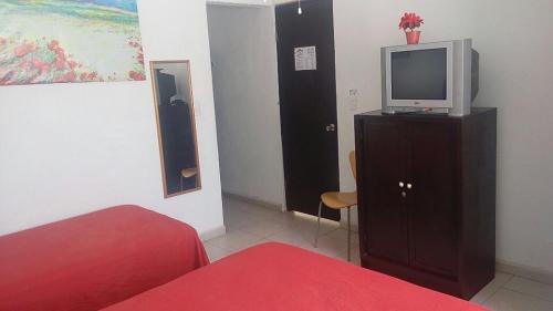 a bedroom with a bed and a tv on a cabinet at Posada San Cristobal in Cuernavaca