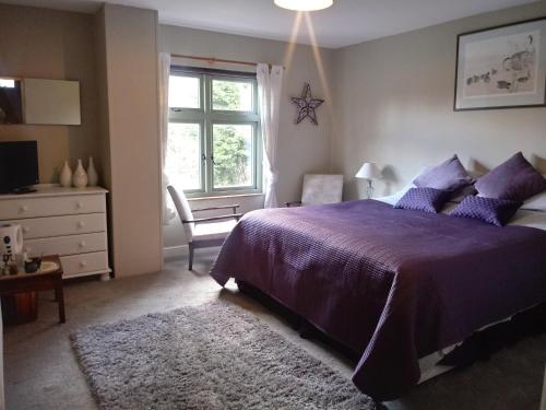 una camera con letto viola e finestra di Claw House a Holsworthy
