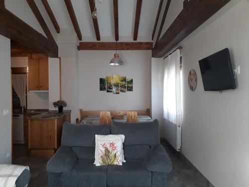 a living room with a couch and a tv at Posada El Hoyal in Pesaguero-La Parte
