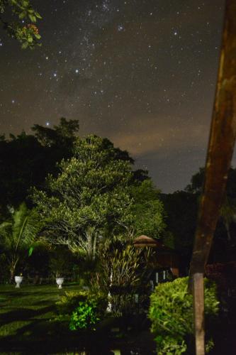 una notte stellata con un albero in un giardino di Pousada Agua Cristalina a Cachoeiras de Macacu