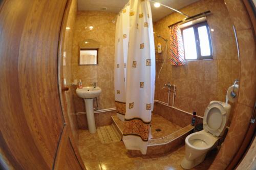 a bathroom with a shower curtain and a toilet at Saro B&B and Safari Tours in Tatʼev