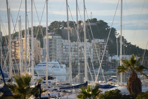 Cascadas De Las Marinas