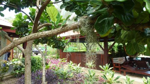 a garden with a bench and a tree at Kekemba Apartments Paramaribo in Paramaribo