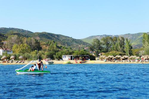 Landskap semula jadi dekat dengan aparthotel ini