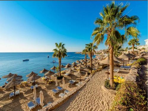 a beach with umbrellas and chairs and the ocean at Concorde El Salam Sharm El Sheikh Front Hotel in Sharm El Sheikh