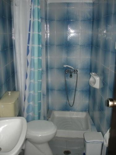 a blue tiled bathroom with a toilet and a shower at Elena Beach in Chania