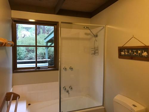 ein Badezimmer mit einer Dusche, einer Badewanne und einem WC in der Unterkunft Day Dream Cottage in Halls Gap