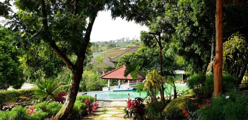 una piscina in un giardino con alberi e fiori di Bamboo Village by Villa a Lembang