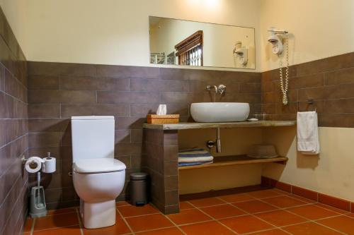 a bathroom with a toilet and a sink and a mirror at Fleur de Sel in Mahe