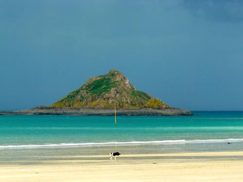 a dog walking on a beach with an island in the water at Luxury Seaside Family house in Pléneuf Val André in Pléneuf-Val-André