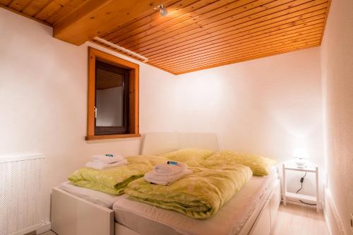 1 dormitorio con 1 cama en una habitación con ventana en Haus Innerdorf gemütliches Ferienhaus im Taunus, en Pohl