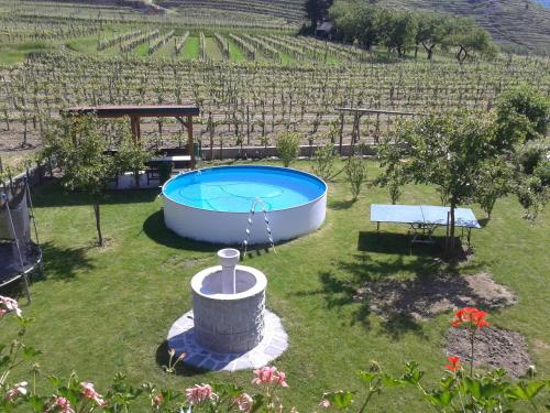 A view of the pool at Gästehaus Weinbergblick or nearby