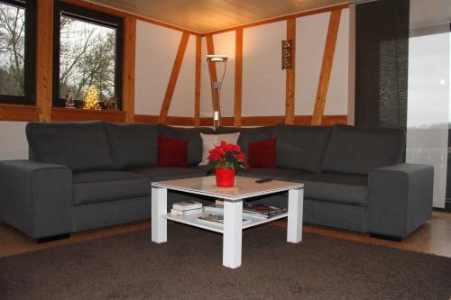 ein Wohnzimmer mit einem Sofa und einem Couchtisch in der Unterkunft Ferienwohnung Schlierbachtal in Lindenfels