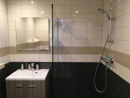 een badkamer met een wastafel en een douche bij De Akelei in Lochem