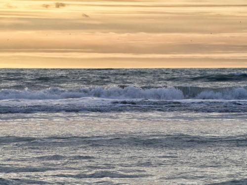 Stella le Touquet Berck T2