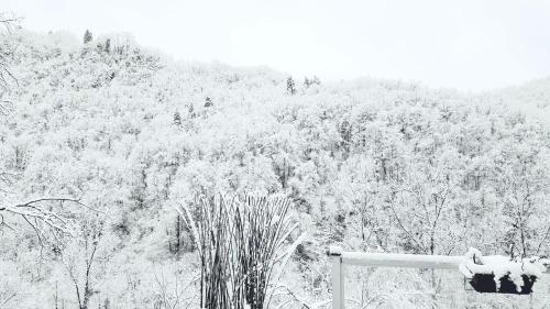a snow covered hillside with trees in the background at Skymist Maison d'hôtes in Biert