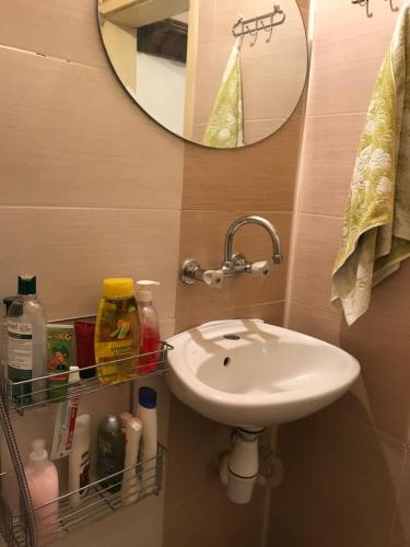 a bathroom with a sink and a mirror at Labris apartment in Kyustendil
