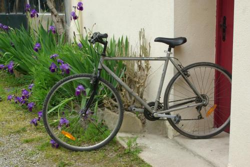 Ciclismo en Le gite du Poisson Roy o alrededores