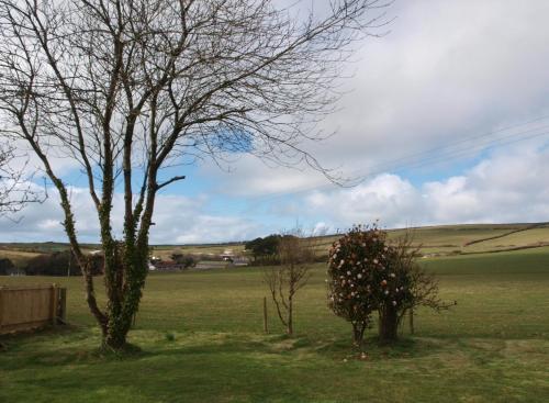 two trees in the middle of a field at The Studio in Georgeham