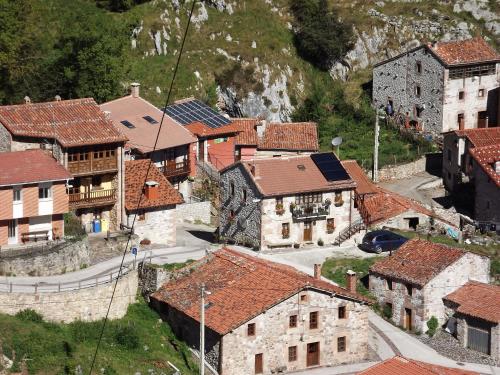 an aerial view of a village with buildings at Apartamentos Rurales El Tio Pablo Picos de Europa Tresviso in Tresviso