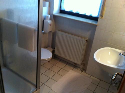 a bathroom with a sink and a toilet and a window at Hotel Bacchusstube garni in Goldbach