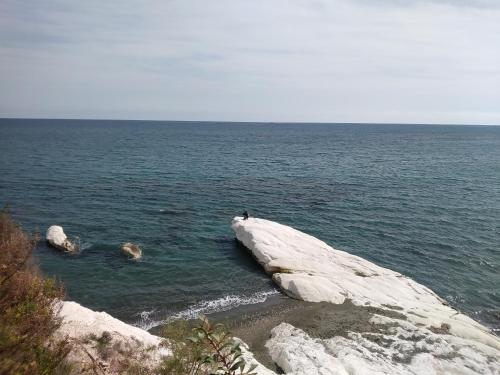 a person sitting on a rock in the ocean at Montehugh in Larnaka