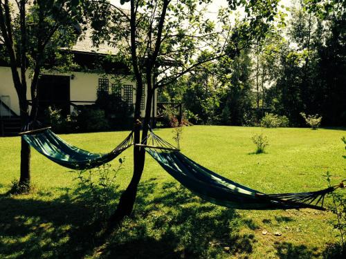 a hammock hanging from a tree in a yard at Modryna - Modrzewiowy Dom in Cisna