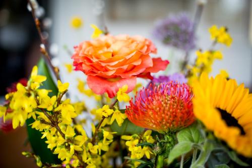 a bunch of different colored flowers in a vase at Logement aan de Vecht in Breukelen