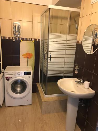 ein Badezimmer mit einer Waschmaschine und einem Waschbecken in der Unterkunft Vila Andreea in Eforie Nord