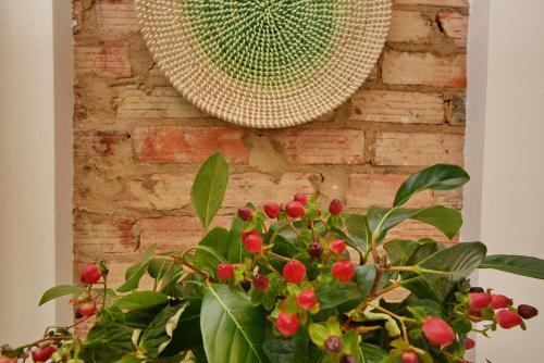 a plant with red berries in front of a brick wall at Son of a Beach Hostel in Albufeira