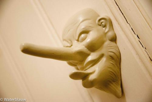 a brass door knocker on a door at Logement aan de Vecht in Breukelen