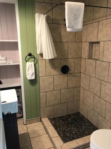 a shower in a bathroom with a toilet and towels at Riverside Lodge at Chimney Rock in Chimney Rock