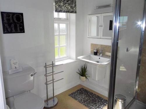 a bathroom with a shower and a toilet and a sink at Lowerfield Farm in Broadway