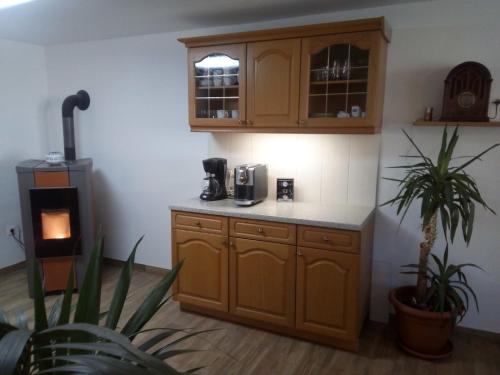 a kitchen with wooden cabinets and a coffee maker at Ferienhaus Bauer in Trattenbach