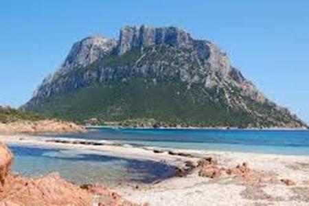 Gallery image of Villa Dettori in San Teodoro