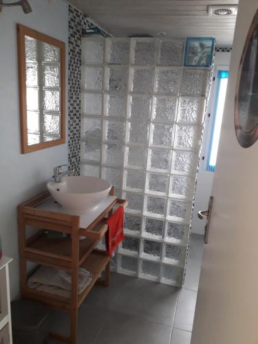 a bathroom with a sink and a glass wall at Vendrennes Chez Florymarysol in Vendrennes