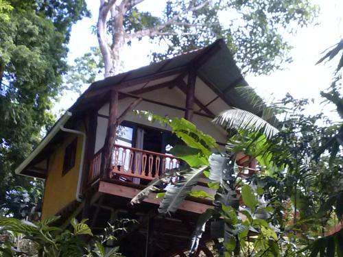 Zahrada ubytování Chalet Tropical