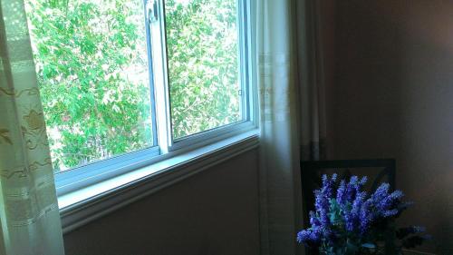 a window in a room with a vase of purple flowers at HB Guest Home 5 in Waterloo