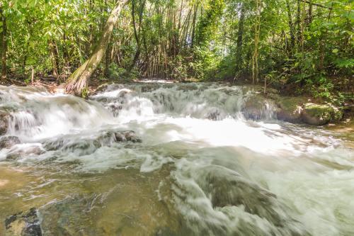 Landskap semula jadi dekat dengan rumah tamu ini