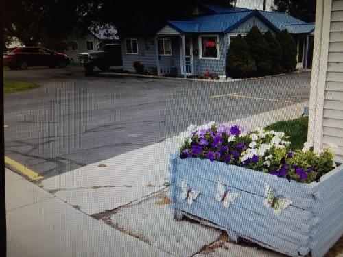 a blue planter with flowers on the side of a street at DK Motel in Arco